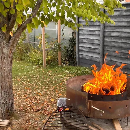 Oase Im Suedosten Leipzigs - Schoene, Ebenerdige 2-raum-apartments Mit Stellplatz Und Terrasse דירה *