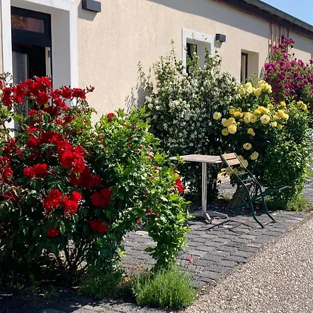 Oase Im Suedosten Leipzigs - Schoene, Ebenerdige 2-raum-apartments Mit Stellplatz Und Terrasse Apartmán Lipsko