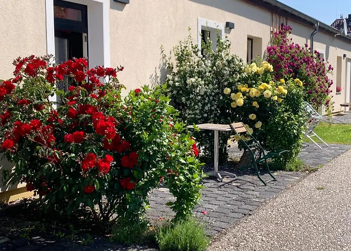 Oase Im Suedosten Leipzigs - Schoene, Ebenerdige 2-raum-apartments Mit Stellplatz Und Terrasse Appartamento Lipsia